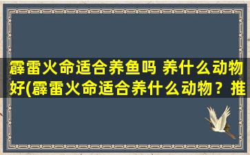 霹雷火命适合养鱼吗 养什么动物好(霹雷火命适合养什么动物？推荐适合养在霹雷火命中的优质水族。)